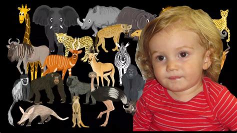 The Kids Picture Show African Animals Oskar Video Response - YouTube