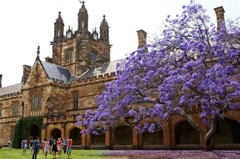 University of Sydney - IBT