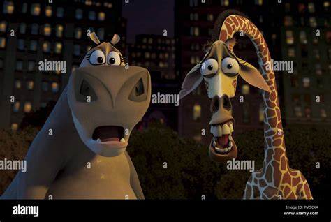 Film Still / Publicity Still from "Madagascar" Gloria the Hippo, Melman ...