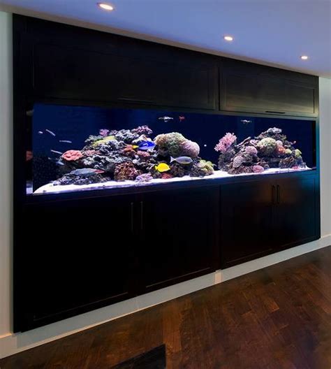 20 of the Coolest Wall Fish Tank Designs