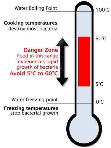 Key Food Temperatures - OnSolution