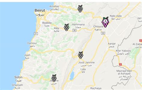 Your 2024 guide to Bekaa Valley wine region | Winetourism.com