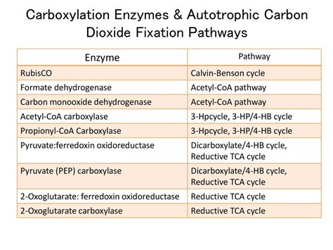 Masaharu Ishii Carboxylation Enzymes Journal Club in the Laboratory - ppt download