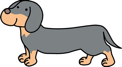 Dachshund dog clipart. Free download transparent .PNG | Creazilla