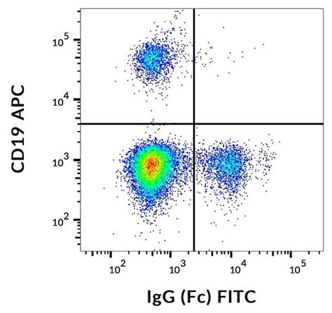 FITC Anti-Human IgG FC fragment antibody [EM-07] (ab239228) | Abcam