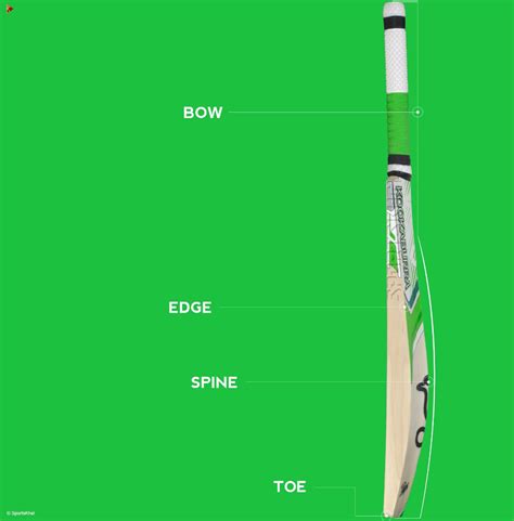 CHOOSING A CRICKET BAT - VK Cricket Academy