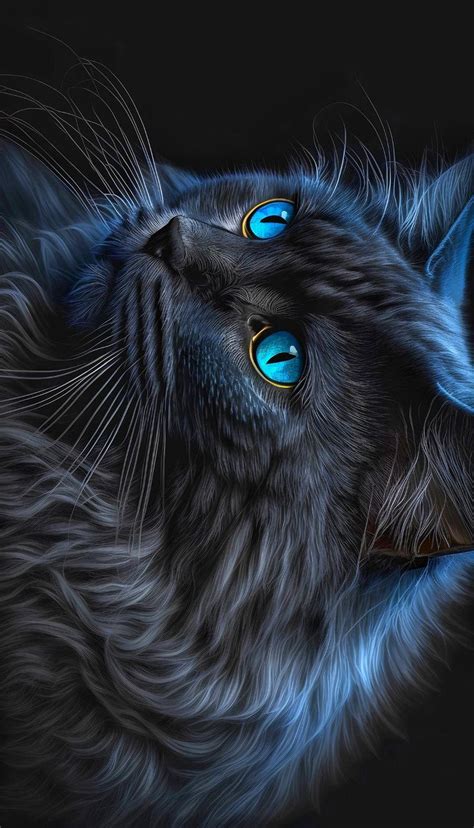 4k UHD Black Cat Wallpaper | Cat wallpaper, Cat dark, Cat with blue eyes