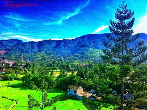 Puncak, Cisarua, Bogor, Indonesia | Indonesia