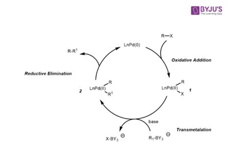 Suzuki Coupling Reaction - Definition, Details and Mechanism with Examples