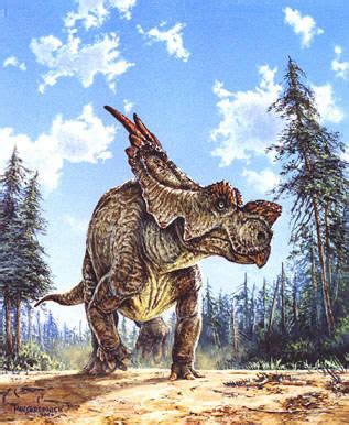 Achelousaurus | Dinopedia | Fandom powered by Wikia