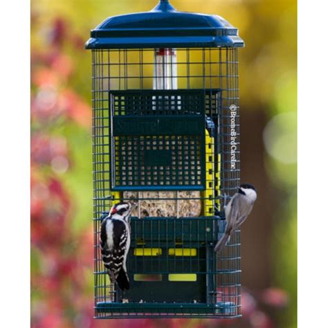 ***NEW*** Brome Squirrel Buster Suet Feeder – Backyard Bird Centre