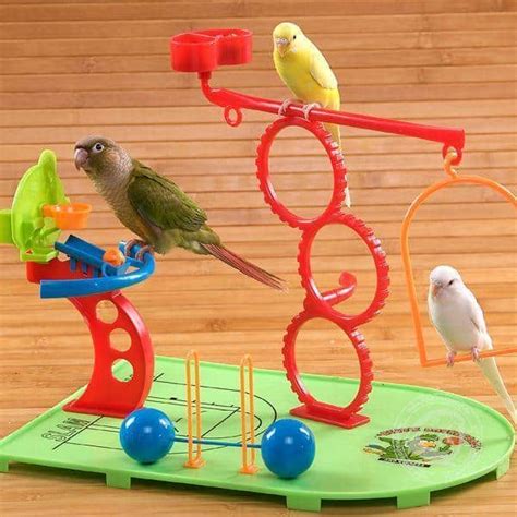 How Much Do Parakeets Cost? (Other Expenses also Included)