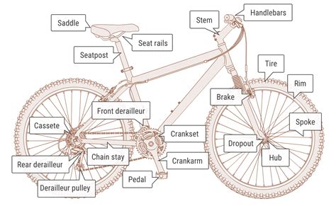 Therapy Diver Bear fixed gear bike parts list century Glue Bridegroom