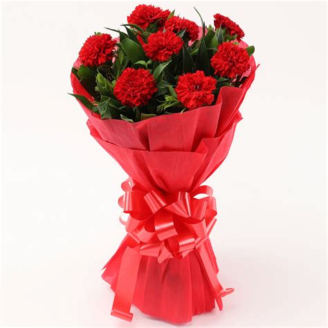 Buy/Send 8 Red Carnations Bouquet- Small Online- Ferns N Petals