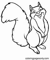 40 Squirrel Coloring Pages  ColoringPagesOnlycom sketch template