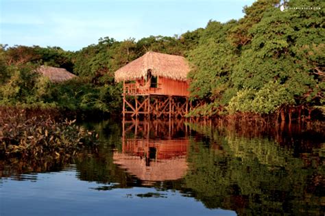 Bungalow Lodges in Amazon Rainforest near Manaus