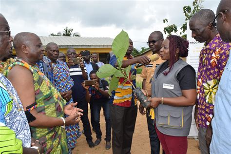 Sustainable Palm Oil Programme in Côte d'Ivoire Restores Forest Land - Solidaridad Network