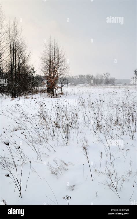 Winter landscape, Ukraine Stock Photo - Alamy