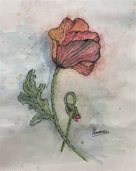 Poppy_Flower on Behance