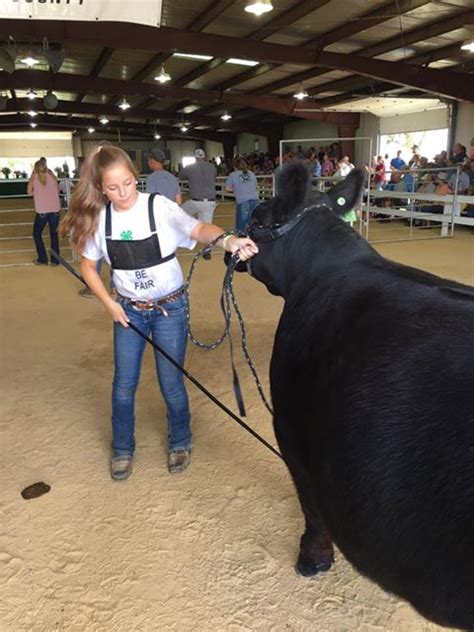 Home [www.clintoncountyiowafair.com]