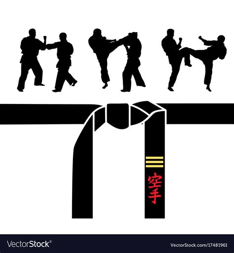 Karate belt men demonstrating karate Royalty Free Vector