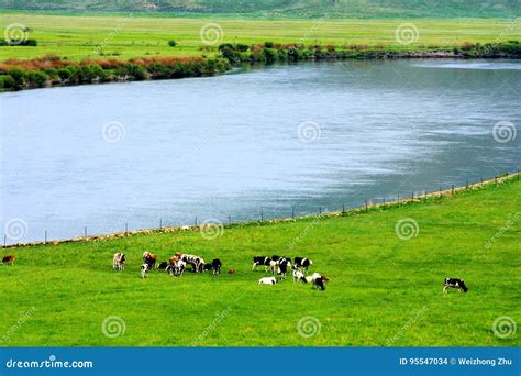 Landscape of Hulunbuir Grasslands Stock Photo - Image of outside, buir ...