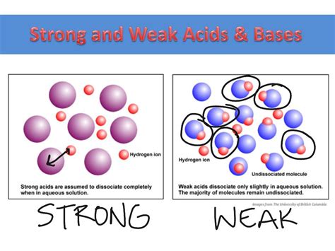 Strong and Weak Acids & Bases | Chemistry classroom, Ap chemistry, Teaching science