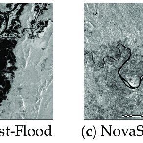 (a) Pre-flood and (b) post-flood pre-processed dual-polarised... | Download Scientific Diagram