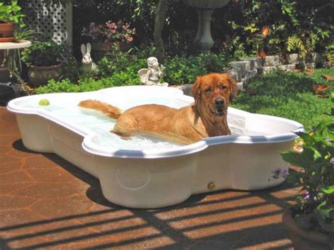 Bone Shaped Dog Pool