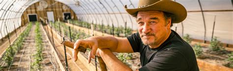 Jim Belushi On His Cannabis Show ‘Growing Belushi,’ His Favorite ...