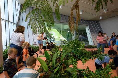 Louisiana museum opens after $41M revitalization - Construction Specifier