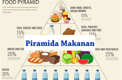 √ Pengertian Piramida Makanan, Macam, dan Contohnya | Guru Sains