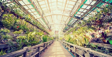 3 Tips for Greenhouse Temperature Monitoring | Senspahone