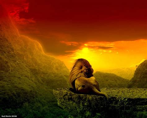 Lion Of Judah Rasta Wallpaper