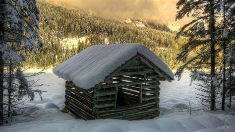 Wooden hut in the snowy forest wallpaper - Nature wallpapers - #36251