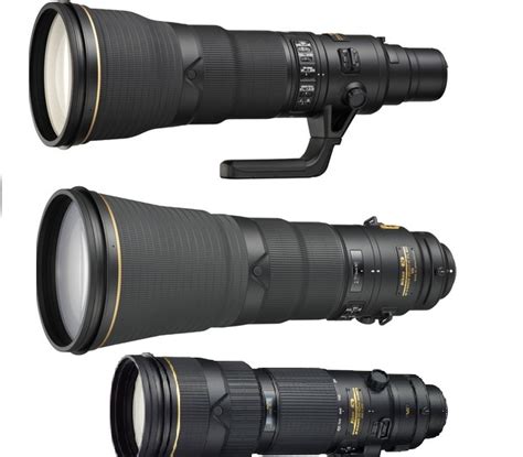 Best Nikon Lenses for Wildlife Photography | Camera Times
