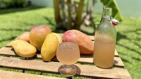 Mango Wine Recipe - Mango Basket