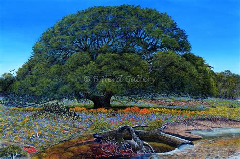 Mighty Oak — B. Herd Gallery