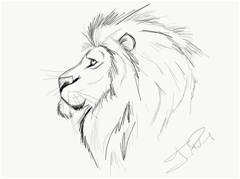 Aggregate 162+ lion art drawing latest - seven.edu.vn