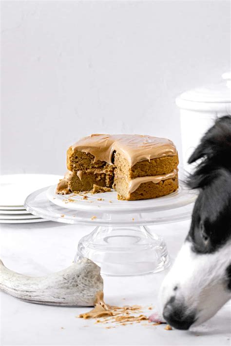 Peanut Butter Pumpkin Dog Birthday Cake - Sloane's Table