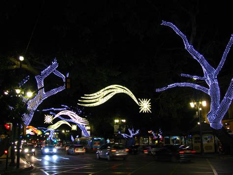 Wild Christmas decorations in Southern Spain | Malaga, Spain… | Bogdan Migulski | Flickr