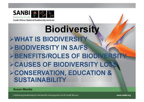 Biodiversity Presentation by Write4Ideas - Issuu