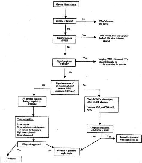 HEMATURIA IN CHILDREN - Pediatric Clinics