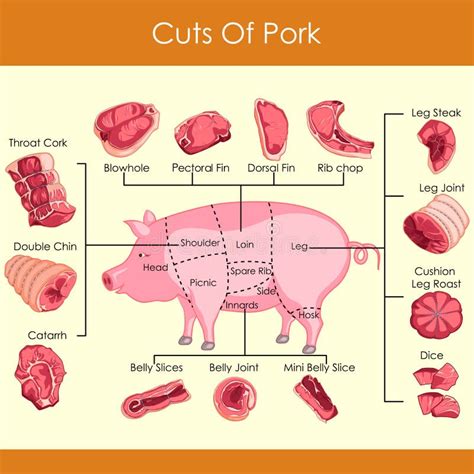 Pork Cuts Stock Illustrations – 1,998 Pork Cuts Stock Illustrations ...