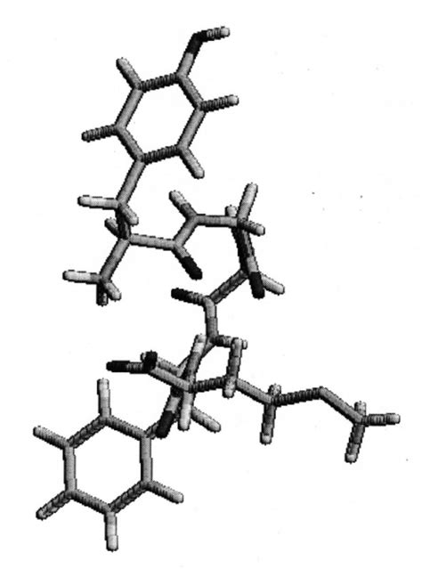 Structure of the enkephalin molecule. | Download Scientific Diagram