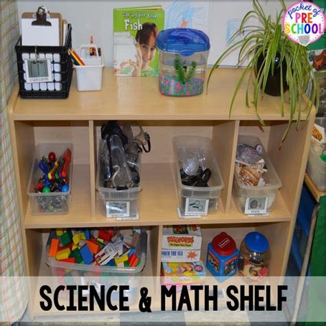 Classroom Reveal and a FREEBIE | Preschool classroom setup, Science ...