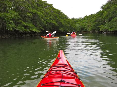 Iriomote Island | Guide Very Japanese