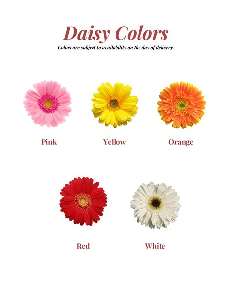 Daisy Bouquet – La Bella Rosa Flowers