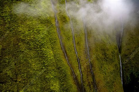 Waterfalls, Mount Waialeale, Kauai, Hawaii, USA - Stock Image - C049 ...