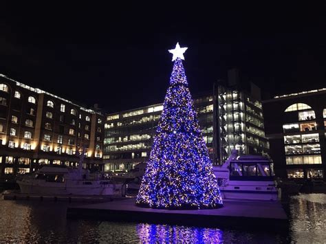 London's Best Christmas Trees 2016 | Londonist